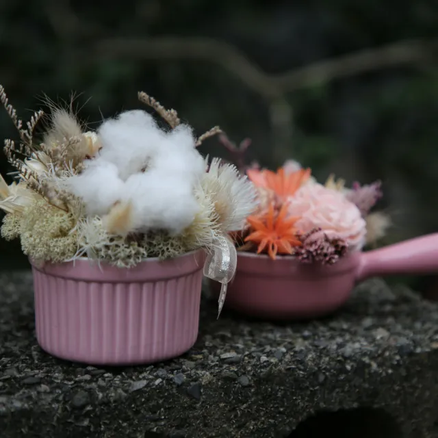 Santa Ana 乾燥盆花組 瓷盆乾燥花組合 Momo購物網