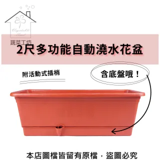 【蔬菜工坊005-AP60】2尺多功能自動澆水花盆(含底盤)