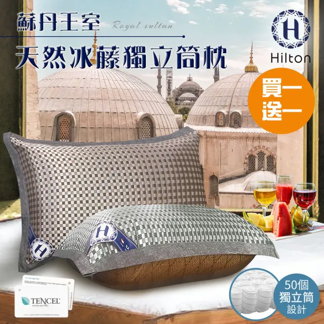 【Hilton 希爾頓】蘇丹王室。頂級格紋藤編獨立筒枕/買一送一/二色任選(藤編枕/冰涼透氣枕/透氣枕/舒適枕)