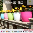 【Gardeners】繽紛水位計花盆15.5cm-5入(花盆)