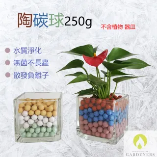 【Gardeners】陶碳球250g(水培/水耕)