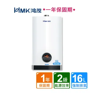 【HMK 鴻茂】智能恆溫強制排氣瓦斯熱水器16公升(H-1601不含安裝)