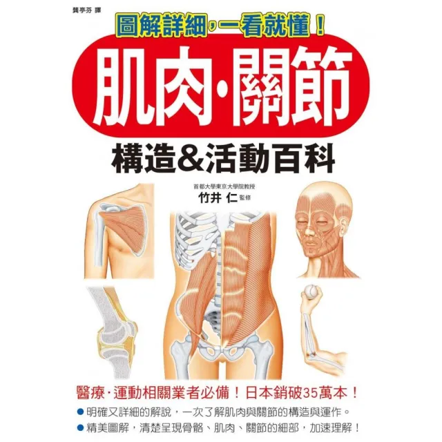 肌肉 關節構造 活動百科 Momo購物網