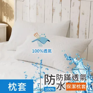 【HongYew 鴻宇】防水防蹣透氣枕頭專用保潔枕墊(2入)