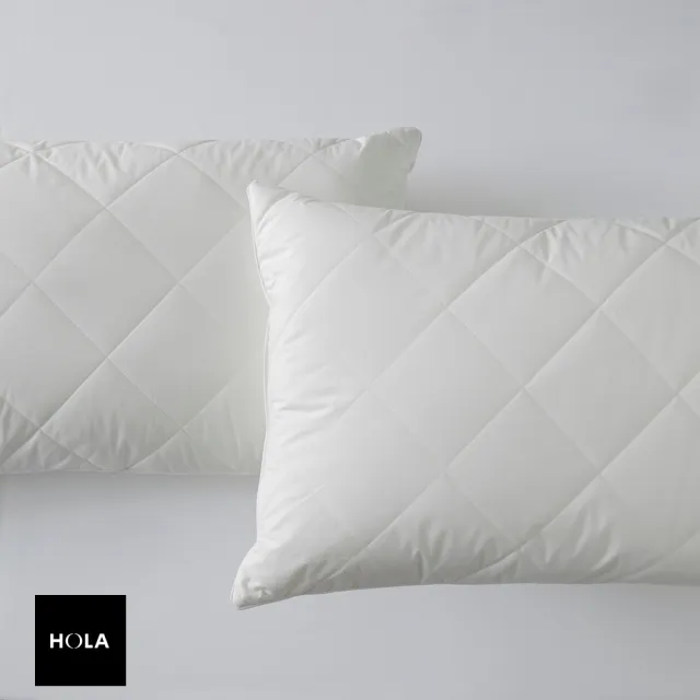 【HOLA】淨睡眠長效防蟎抗菌支撐型對枕