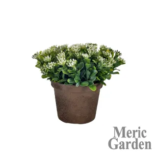 【Meric Garden】創意北歐ins風仿真迷你有花七里香療癒小盆栽/桌面裝飾擺設(3色任選)
