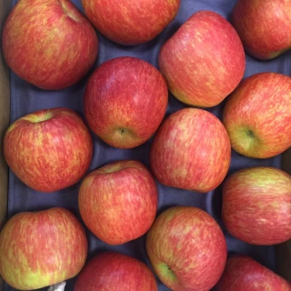 【馥果FruitGo】智利富士蘋果8粒禮盒/2公斤(陽光富士蘋果)