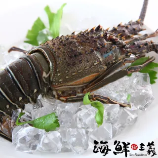 【低溫快配-海鮮主義】極鮮生凍小龍蝦(2隻/組;每隻300g-凍)