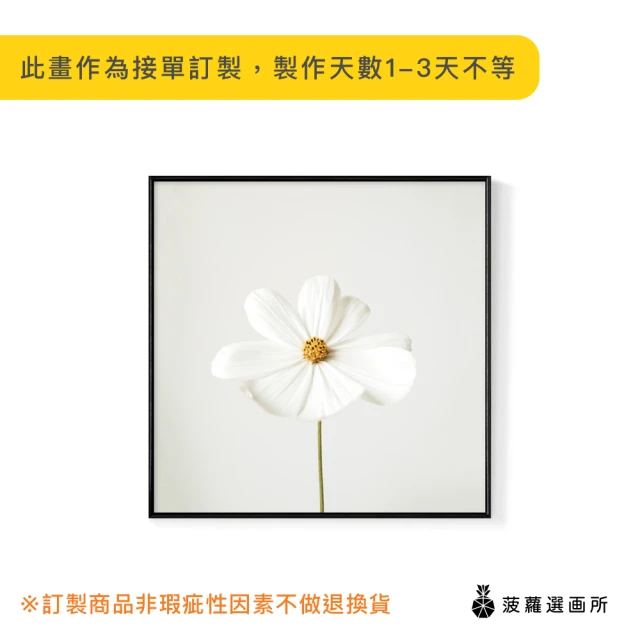 【菠蘿選畫所】白色小雛菊-25x25cm(畫/沙發背景/掛畫/海報/方形掛畫/小雛菊/複製畫)