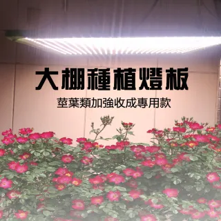 【JIUNPEY 君沛】燈板系列 50瓦 吊掛式 植物燈 莖葉加強光譜 植物成長專用燈(植物生長燈)