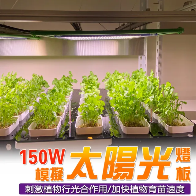 Jiunpey 君沛 燈板系列150瓦吊掛式植物燈全光譜植物成長專用燈 植物生長燈 Momo購物網