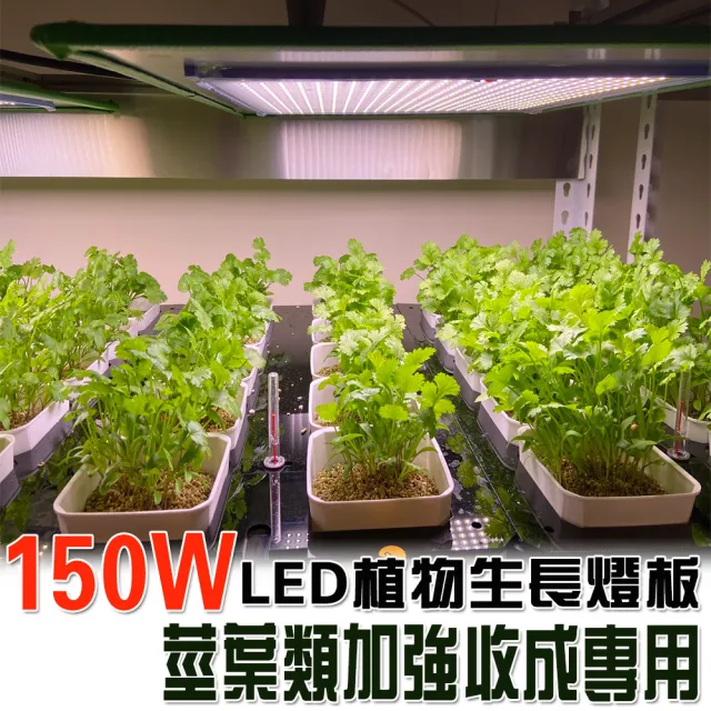 Jiunpey 君沛 燈板系列150瓦吊掛式莖葉加強光譜植物燈植物成長專用燈 植物生長燈 Momo購物網