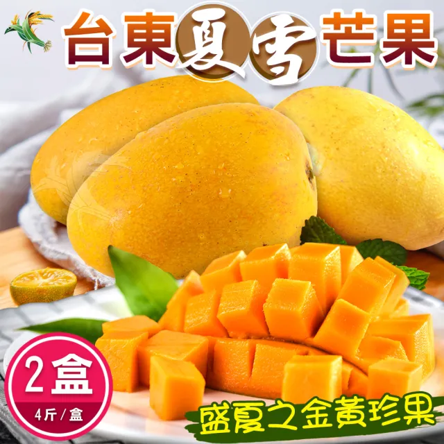 禾鴻 盛夏之金黃珍果台東夏雪芒果5斤5 8顆 共2箱 Momo購物網