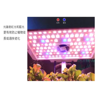 家庭智能LED水耕植物無土栽培自動化栽培機-12珠