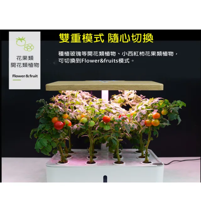 家庭智能led水耕植物無土栽培自動化栽培機 12珠 Momo購物網