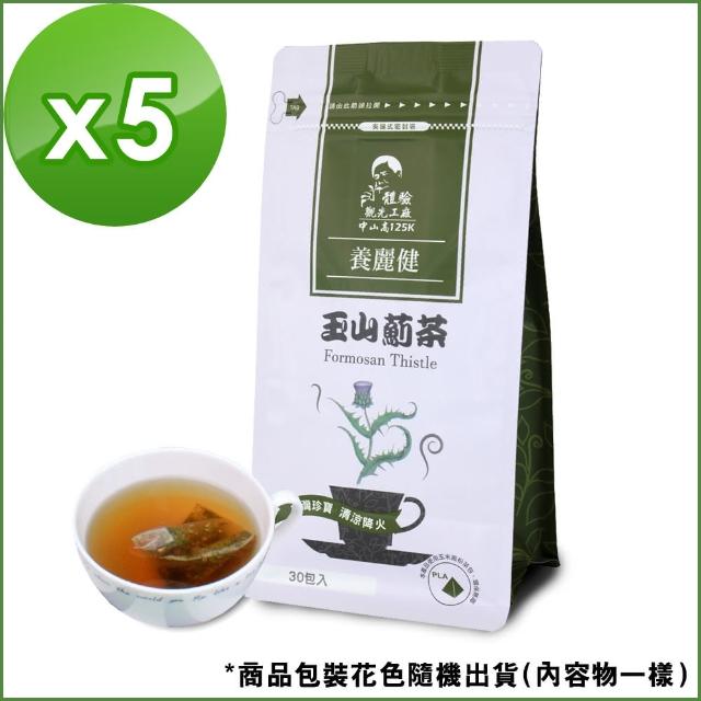 【Mr.Teago】雞角刺茶/玉山薊茶/養生茶-3角立體茶包-30包/袋(5袋/組)