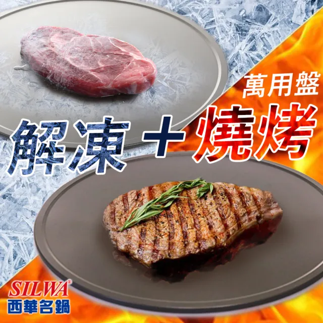 【西華SILWA】節能冰霸極速解凍+燒烤兩用盤(台灣製造)/