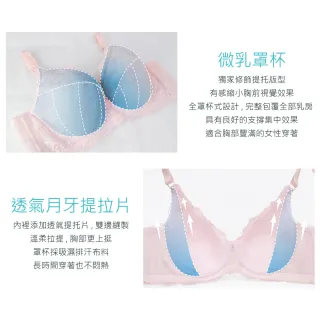 【Clany 可蘭霓】MIT台灣製 大罩杯 微乳縮胸透氣吸濕排汗全罩杯C-F內衣(2件組 隨機出貨)