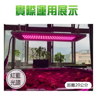 【JIUNPEY 君沛】燈板系列 紅藍混光 植物燈 光譜  磁吸式 裸版型 植物燈版 20瓦(植物燈 平板燈)