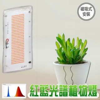【JIUNPEY 君沛】燈板系列 紅藍混光 植物燈 光譜  磁吸式 裸版型 植物燈版 20瓦(植物燈 平板燈)