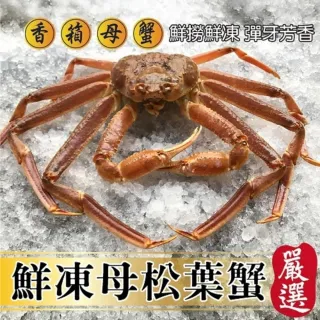 【三頓飯】日本活凍母松葉蟹/香箱蟹(4隻_100-200g/隻)