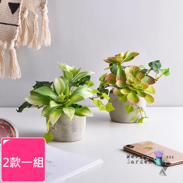 Meric Garden【Meric Garden】高仿真多肉植物療癒手工水泥小盆栽_2款一組(白佛甲+石蓮)
