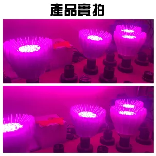 【JIUNPEY 君沛】君沛 植物燈系列 夾式 40瓦 E27 植物燈泡 紅藍混光 全電壓(植物燈)
