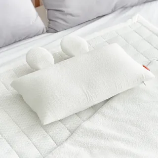 【韓國 Hello HiZoo】3D Aqua Mesh涼感兔耳造型抗菌防蟎雙面枕(涼感枕/護脊/護頸枕)