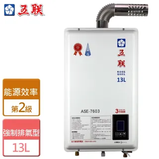 【五聯】13L智能恆溫 強制排氣熱水器北北基安裝(ASE-7603)