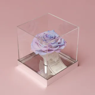 【花意空間】水晶盒玫瑰恆星花-藍紫色(永生花 生日 情人 花禮)