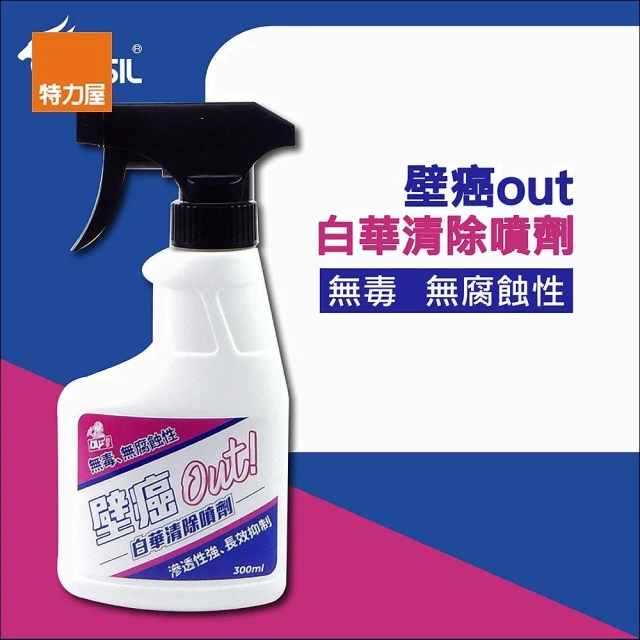 【特力屋】壁癌白華清除噴劑300ml