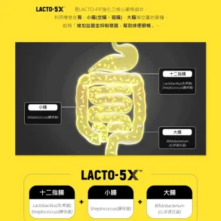【韓國鍾根堂】即期品 LACTO-FIT 5X升級版益生菌-大童及成人款*6盒(2gx50包/盒)