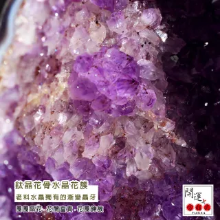 【開運方程式】巴西鈦晶共生官腰帶紫水晶洞JU199(紫晶洞20.4kg)