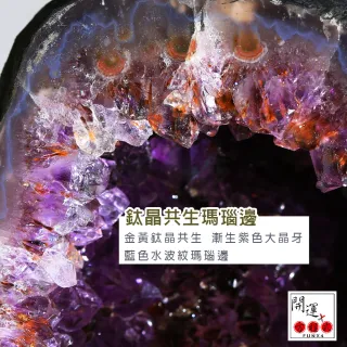 【開運方程式】巴西鈦晶共生紫水晶洞JU192(紫晶洞14.8kg)