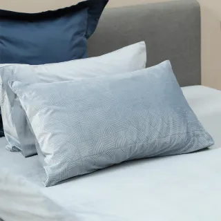 【HOLA】寶貝絨兩用被床包組-簡約藍(雙人)