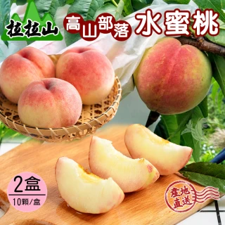 【禾鴻】拉拉山超好吃水蜜桃禮盒10顆x2盒(高山部落的水蜜桃)