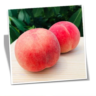 【RealShop 真食材本舖】加州空運水蜜桃 1.8-2kg 6-8顆入 禮盒(盛夏限定版禮盒)