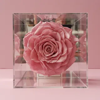 【花意空間】水晶盒玫瑰恆星花 - 粉色(永生花 生日 情人 花禮)