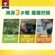【桂格】無糖養氣人蔘60ml×6入x1盒(共6入)