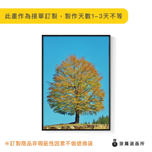菠蘿選畫所 秋 晴空樹映 50x70cm 大樹 自然 園藝 民宿 咖啡廳 工作室 送禮 佈置 Momo購物網 雙11優惠推薦 22年11月