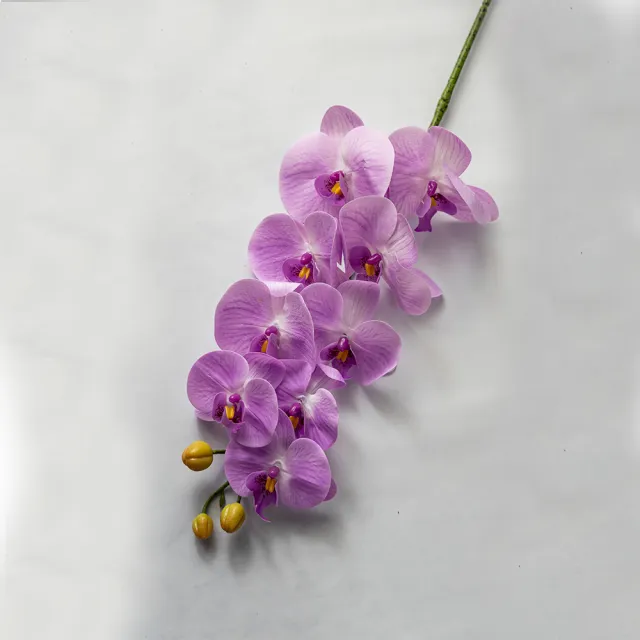 花意空間 赤紫蝴蝶蘭仿真花長支3支一組 永生花人造花假花 Momo購物網