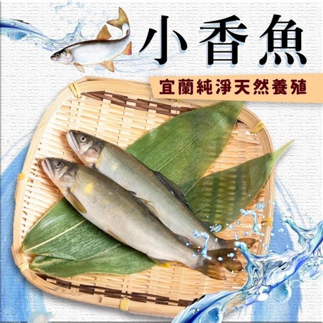 【好神】淨水養殖嚴選公香魚3kg組(1kg/包)