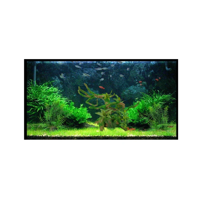 水族造景飾品 假枯樹枝H7853(水族擺設、生態造景、草缸擺設)