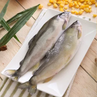 【華得水產】特選超爆卵母無毒香魚8包(3尾/500g/包)