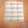 【OKPOLO】台灣製純棉吸水毛巾-12入組(台灣製造)