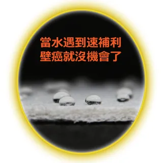 【速補利】壁癌防霉防水抗裂塗料2公斤(再加贈2條 台灣製造)