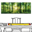 【24mama 掛畫】單聯式 陽光 叢林 森林 植物 樹木 草木 招財 風水 自然 風景無框畫 80x30cm(森林之歌)
