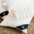 【JAROI】台灣製舒眠獨立筒釋壓枕(買一送一)