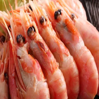 【海之醇】10包組-挪威北極熟甜蝦(200g±10%/包)