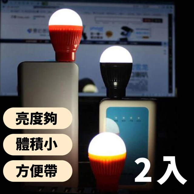 【居家照明】USB燈泡造型LED燈2入(桌燈 夜燈 造景燈 床頭燈 LED燈 露營 USB充電)